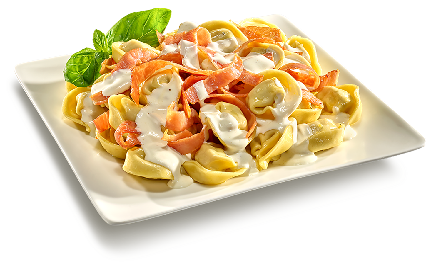 Pasta Carbonara mit Käse-Sahnesauce und Hinterschinken